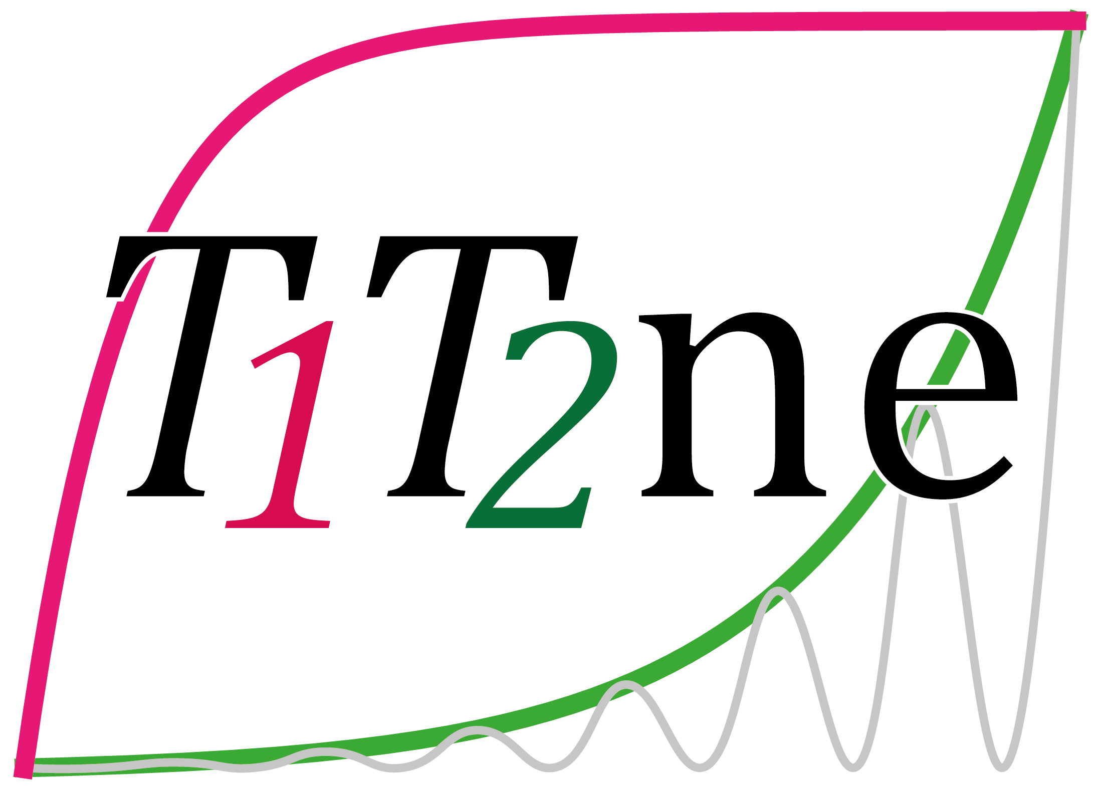 T1T2ne logo